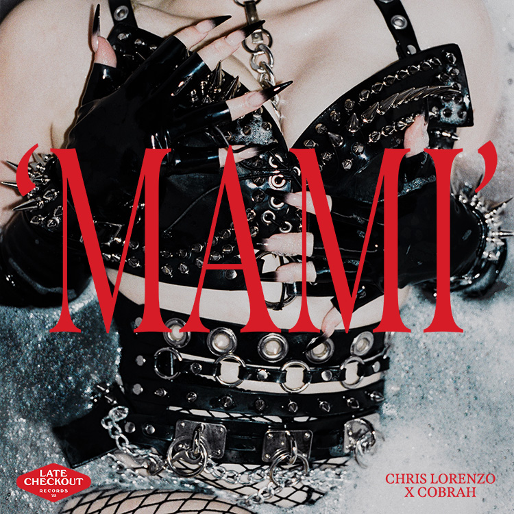 LC_SINGLE_MAMI_v02 Label Engine News